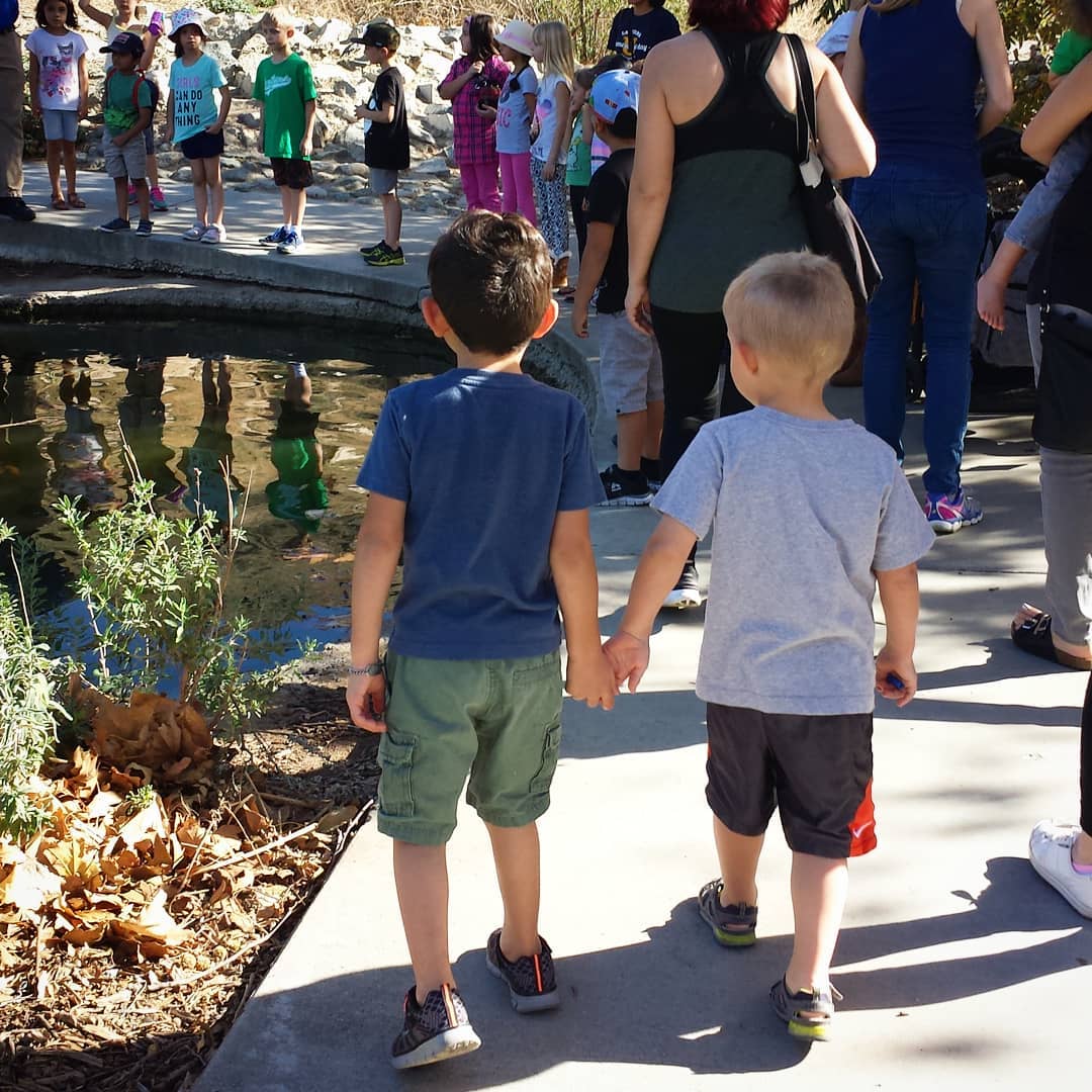 Homeschooling With A Charter California Style... Our Crazy