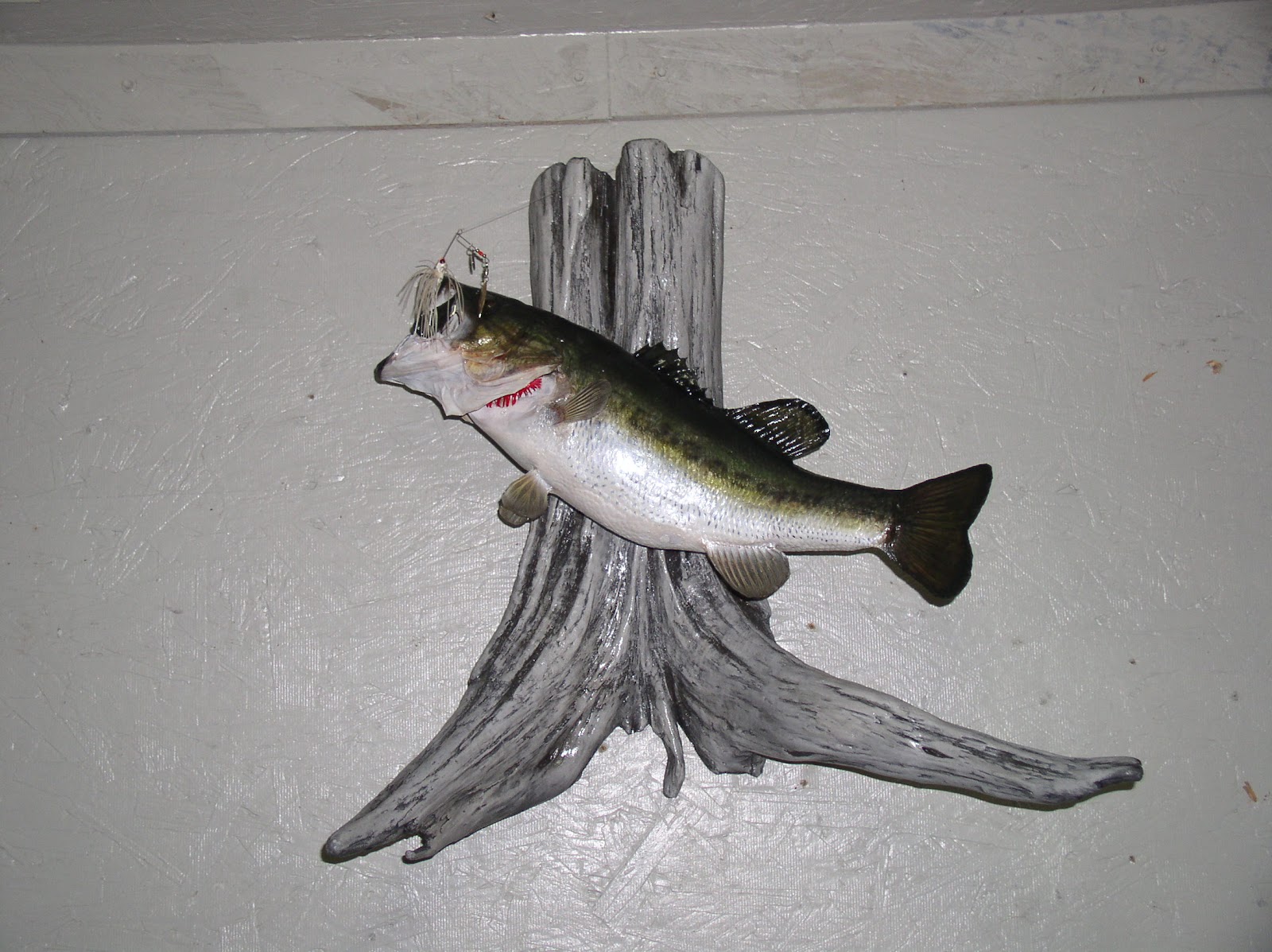 JR's Taxidermy KENTUCKY LARGEMOUTH BASS