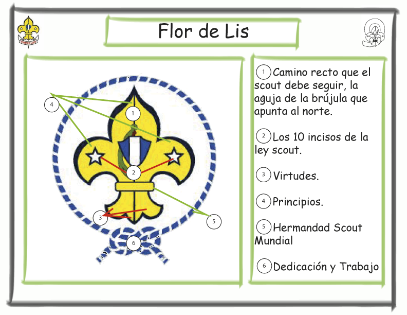 Ser Scout no es ser un tonto cantor 04/01/12