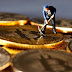 What is Bitcoin Halving – Simple Explanation
