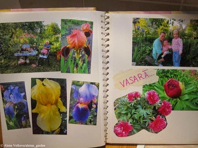 фотоальбом, альбом, подарок на 8 марта, цветы, фото цветов, для садовода, огородника