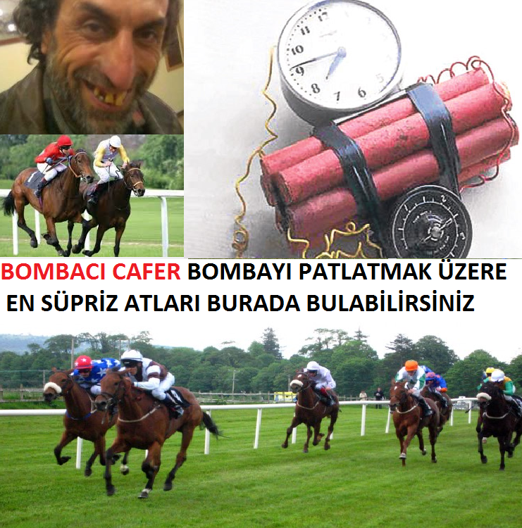 altılı ganyan siteleri altılı ganyan siteleri
