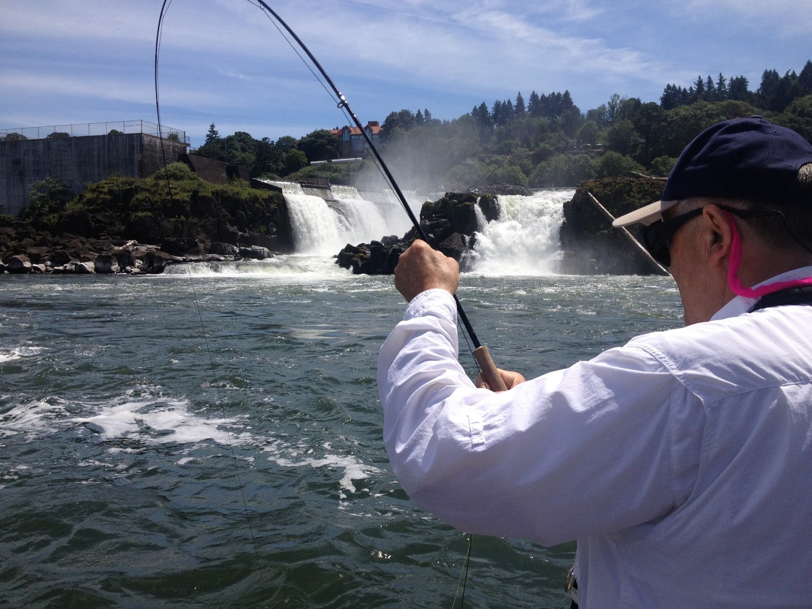 Fly Fishing for Shad the Oregon Tarpon Water Time Outfitters