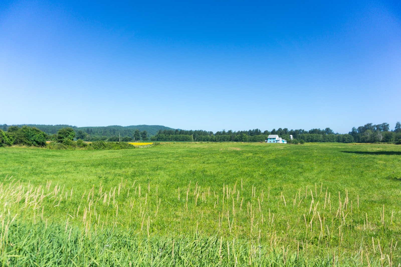 Boston to Seattle 2018 Day 76 Aberdeen,WA to Olympia,WA