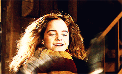 hermione granger story soooo warrior fan