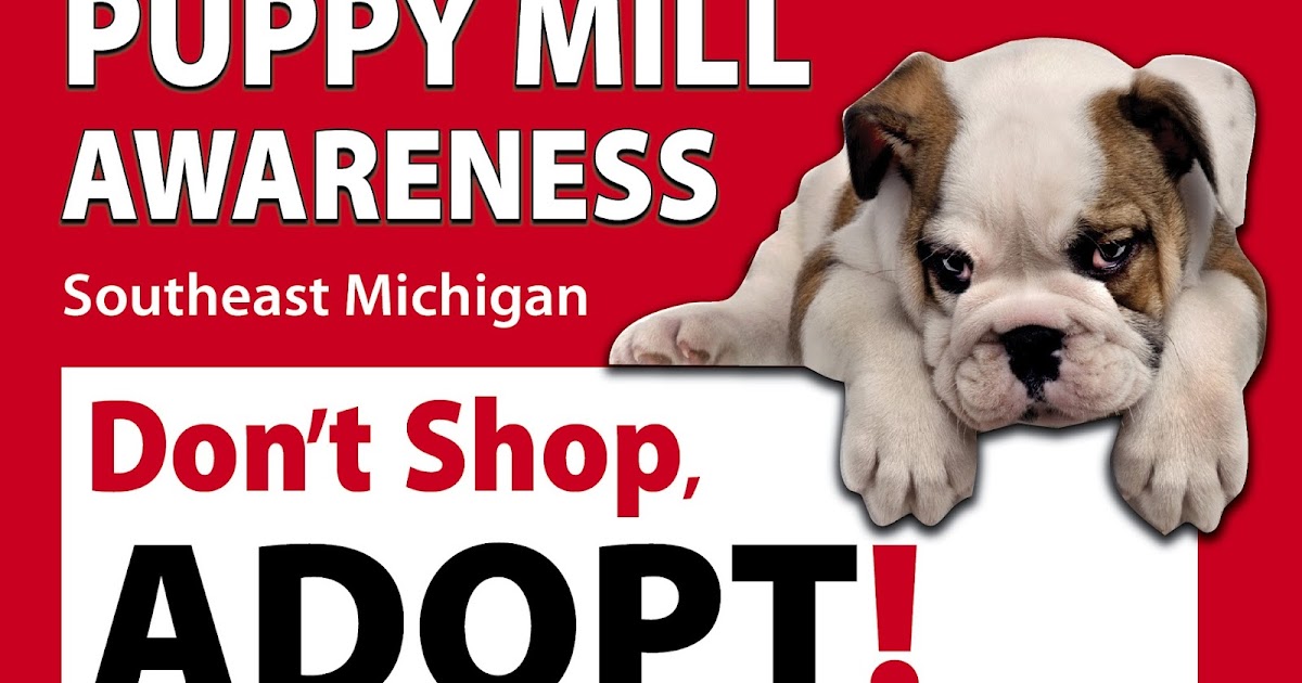Puppy Mill Awareness Southeast Michigan Law Firm Seeks Permanent Injunction against Mt. Clemens