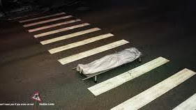 Zebra Cross Di Indonesia 