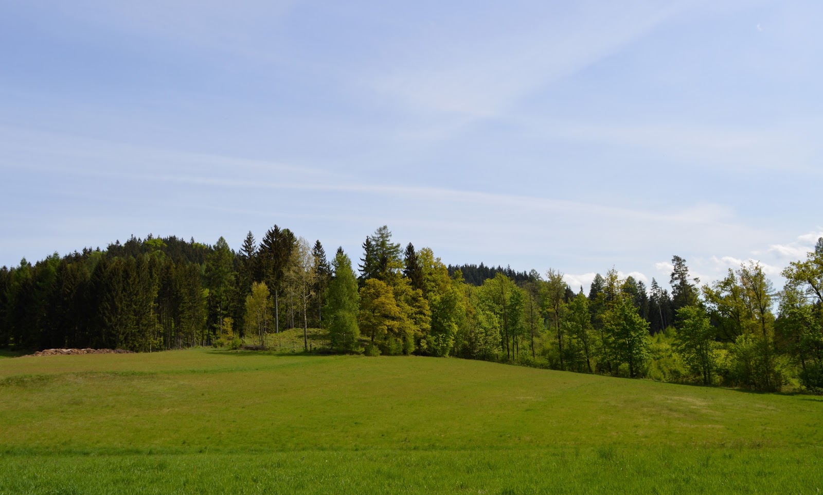 Bobrów