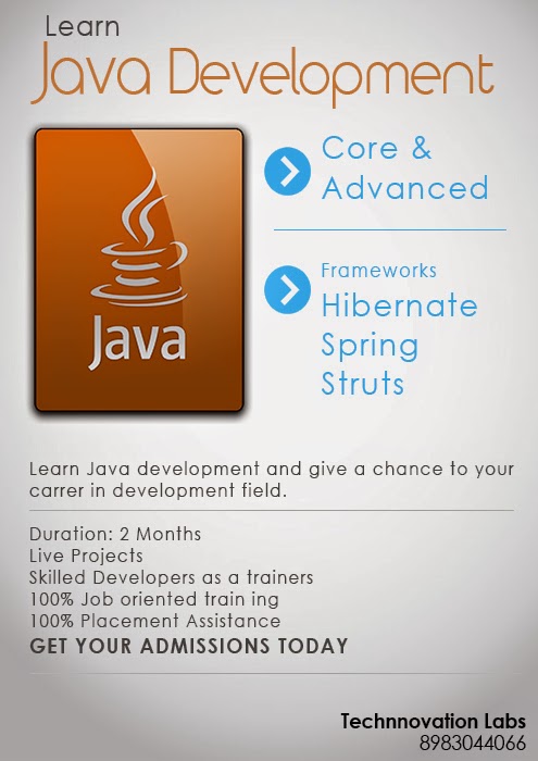 Java Web Component Developer
