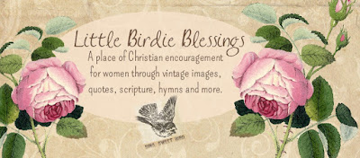 Little Birdie Blessings 