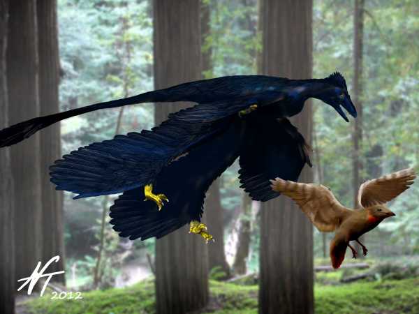 microraptor planet dinosaur