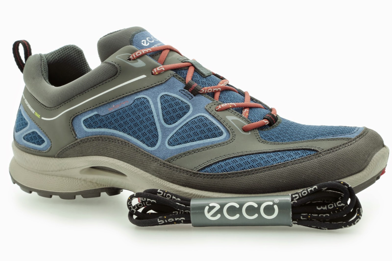 kromatisk pence misundelse FAST TRACK TO NOWHERE IN PARTICULAR: ECCO Biom Quest Ultra Trail Shoes - In  the hills