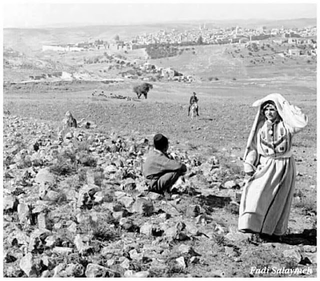 صور من التراث اليومي الفلسطيني Img_6744