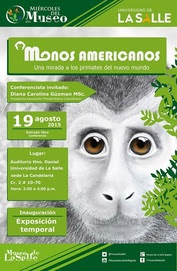  Monos americanos en el Museo de la Salle