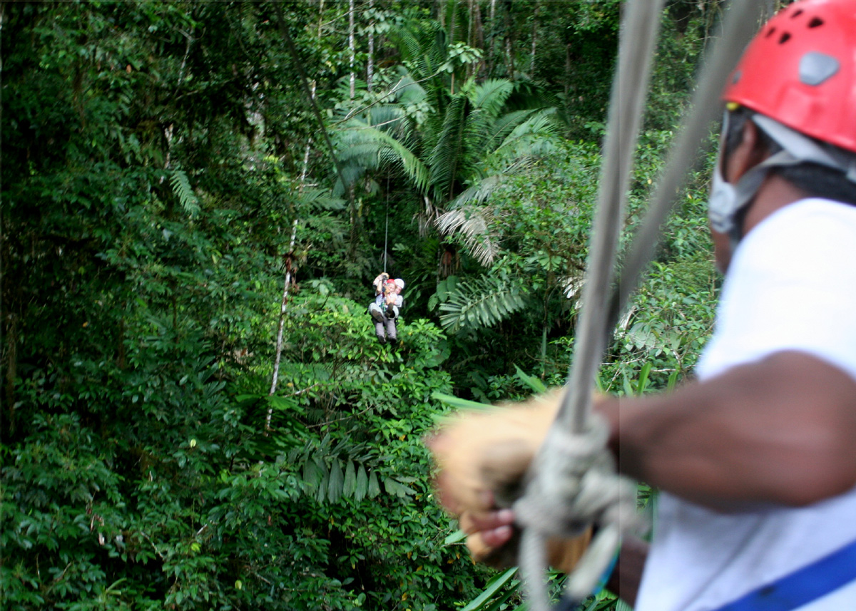 BOHEMIAN adventures Adventures in the Costa Rican jungle sloths