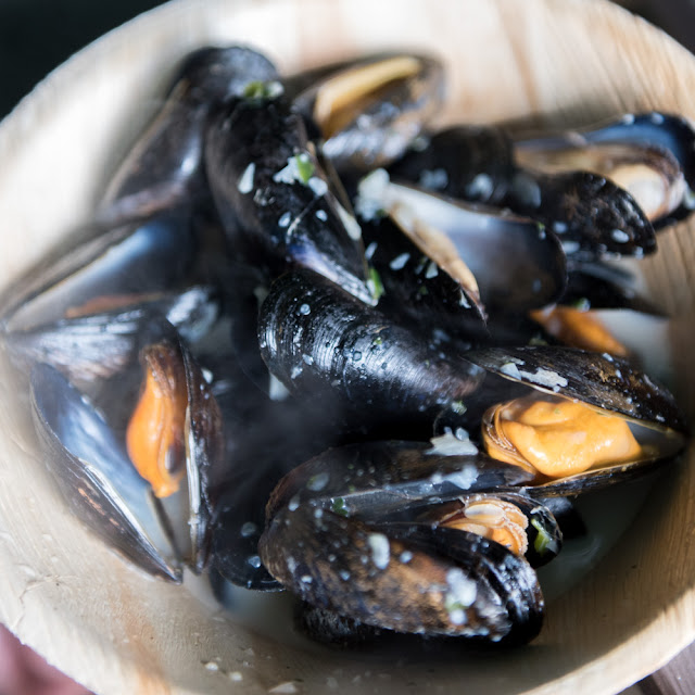 Actual Colour Exmouth Mussel Festival