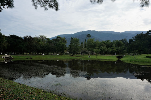 Morning Walking At Taiping Lake Garden