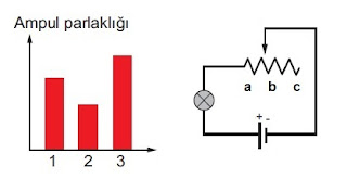 , Fen Bilimleri Nedir