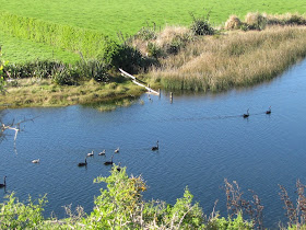 hawera-nowells-lakes