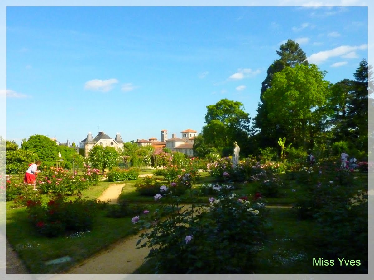 Photograff: Roseraie-jardin du Thabor-Rennes