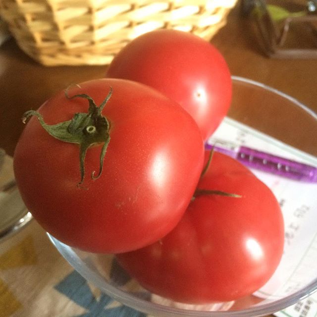 Our Adventures in Japan momotaro tomato suzuke