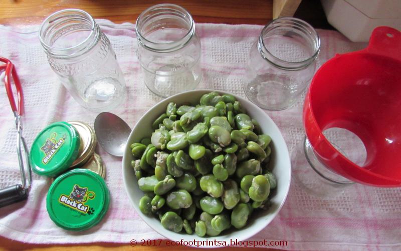 Eco Footprint South Africa Pickled broad beans (fava beans)