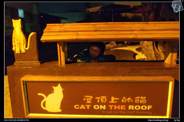 2013-11-24 夜晚的虎尾-屋頂上的貓(cat on the roof)  -虎尾頂溪里