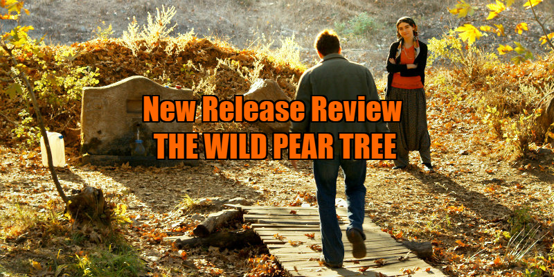 the wild pear tree review