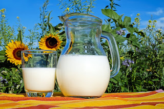 Benefits of Pure Milk Cow