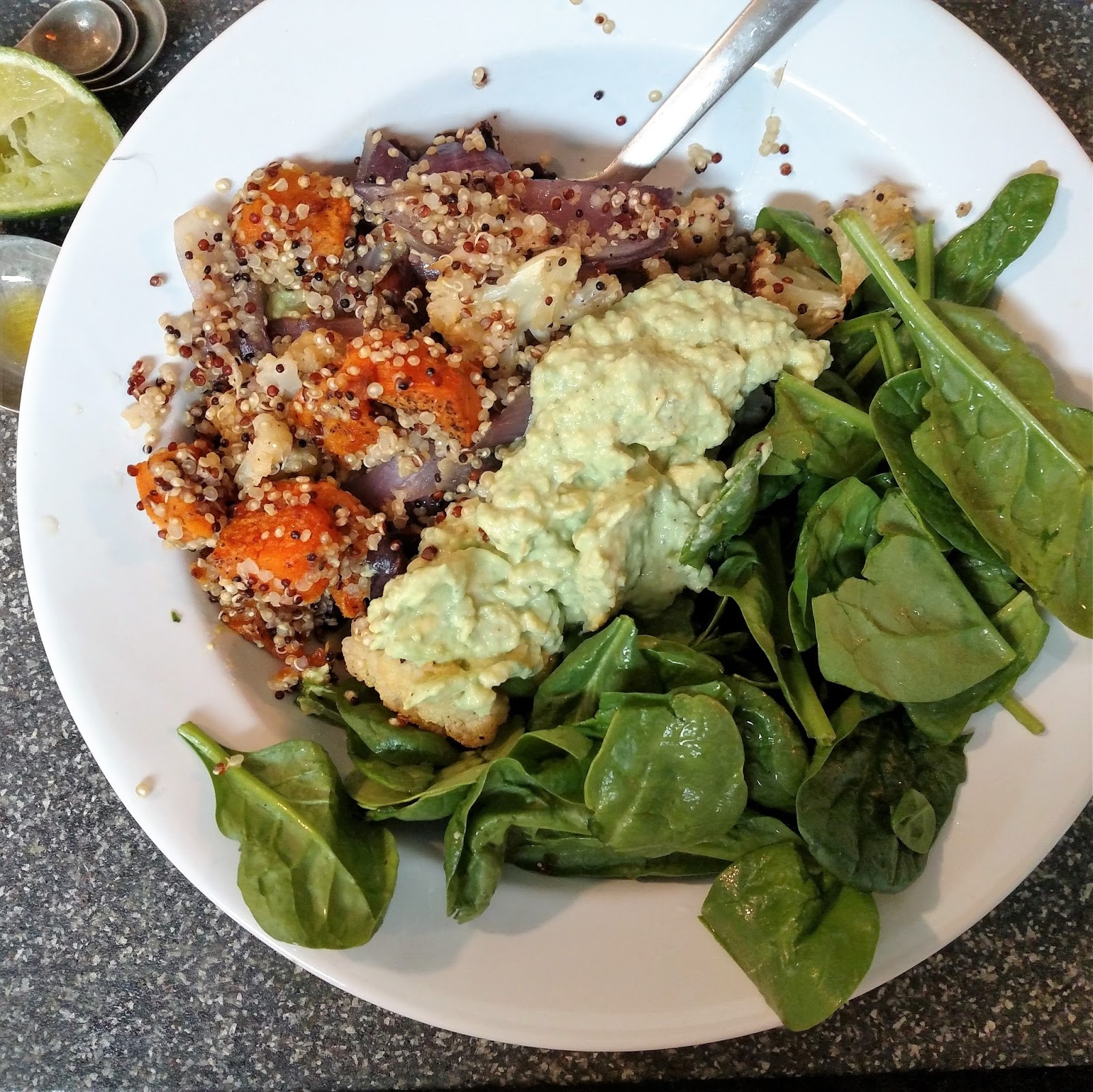 herding cats & burning soup Tasty Delights Cauliflower Quinoa Bowl