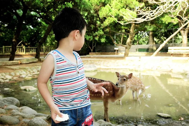 新竹親子遊|新竹市立動物園~有日本奈良賞鹿的Fu