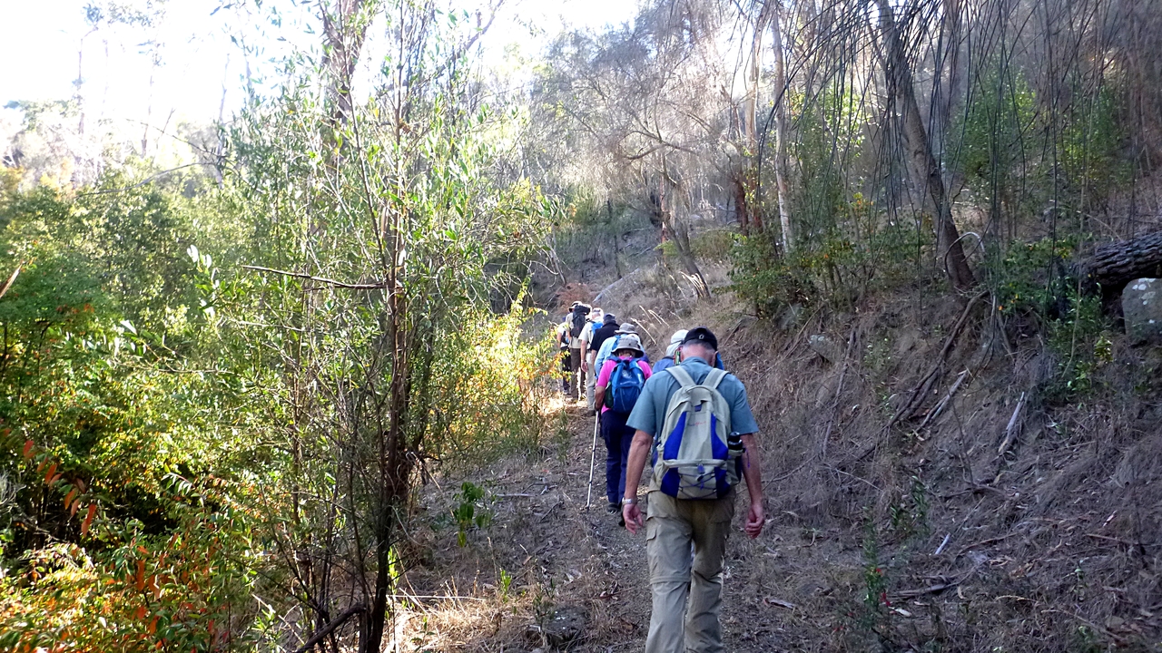 Ramblings Wilds of Austins Ferry 2016