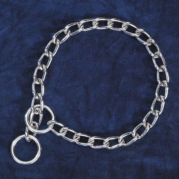 CanineVisions For A Healthy Dog CHOKE CHAIN vs PINCH/PRONG