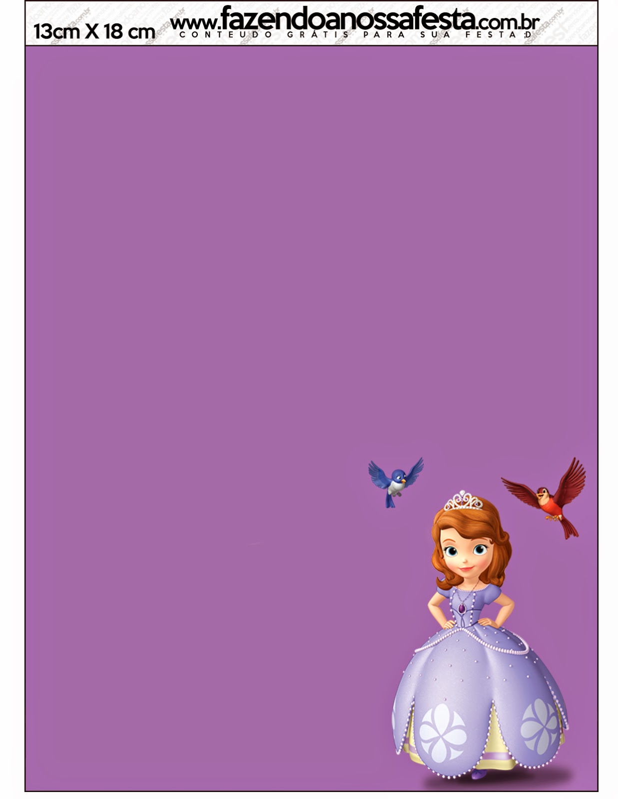 Sofia the First Free Printable Invitations. This is the Invitation for the envelope you have above.