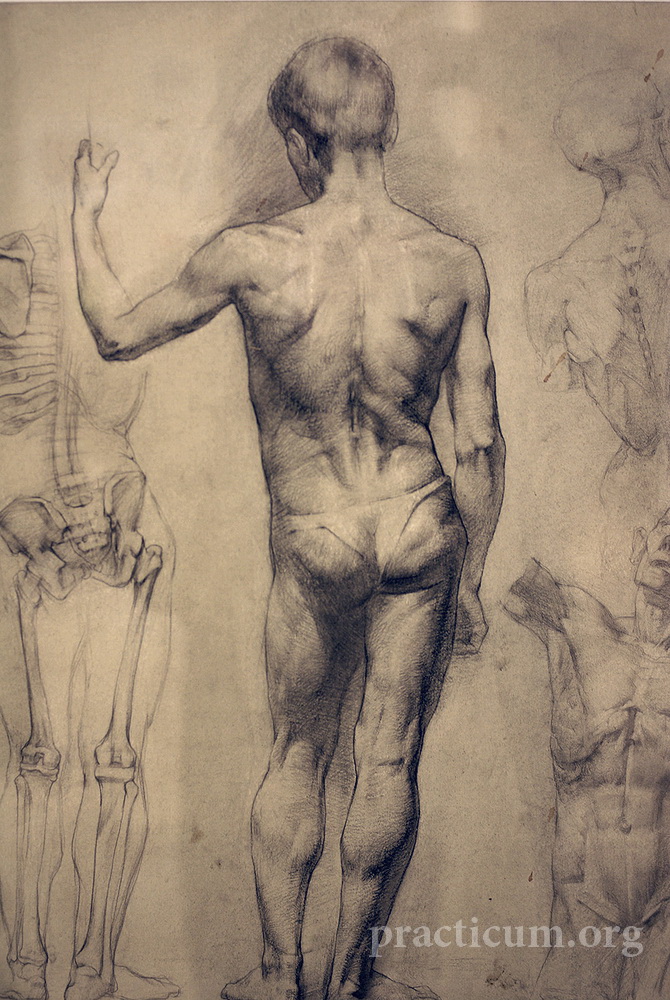 Натура личности. Контрапост Микеланджело. Зарисовки Леонардо да Винчи Микеланджело фигура человеческая. Микеланджело рисунок фигуры человека. Наброски Микеланджело.