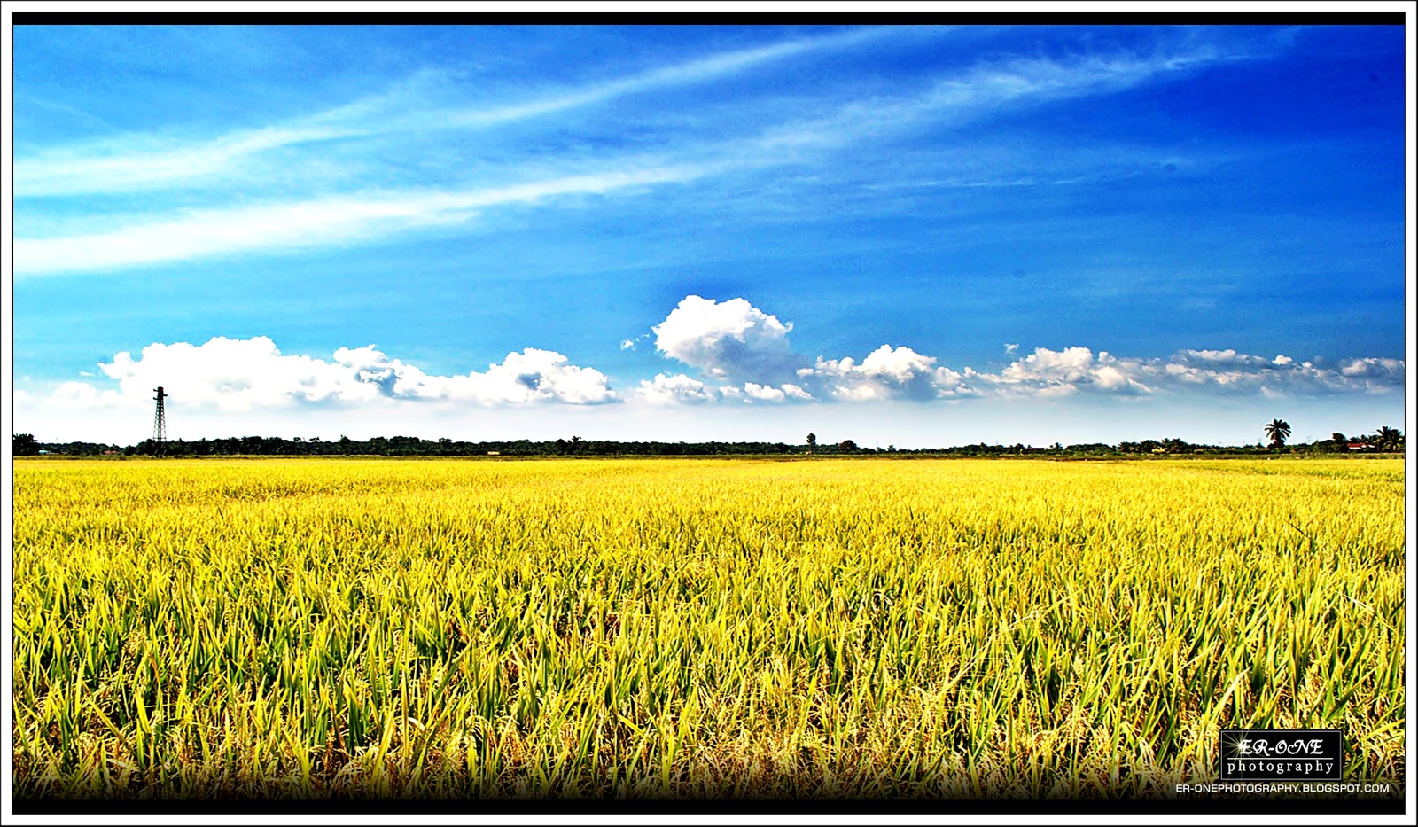 PADI FIELD teluk intan perak ERONE photography