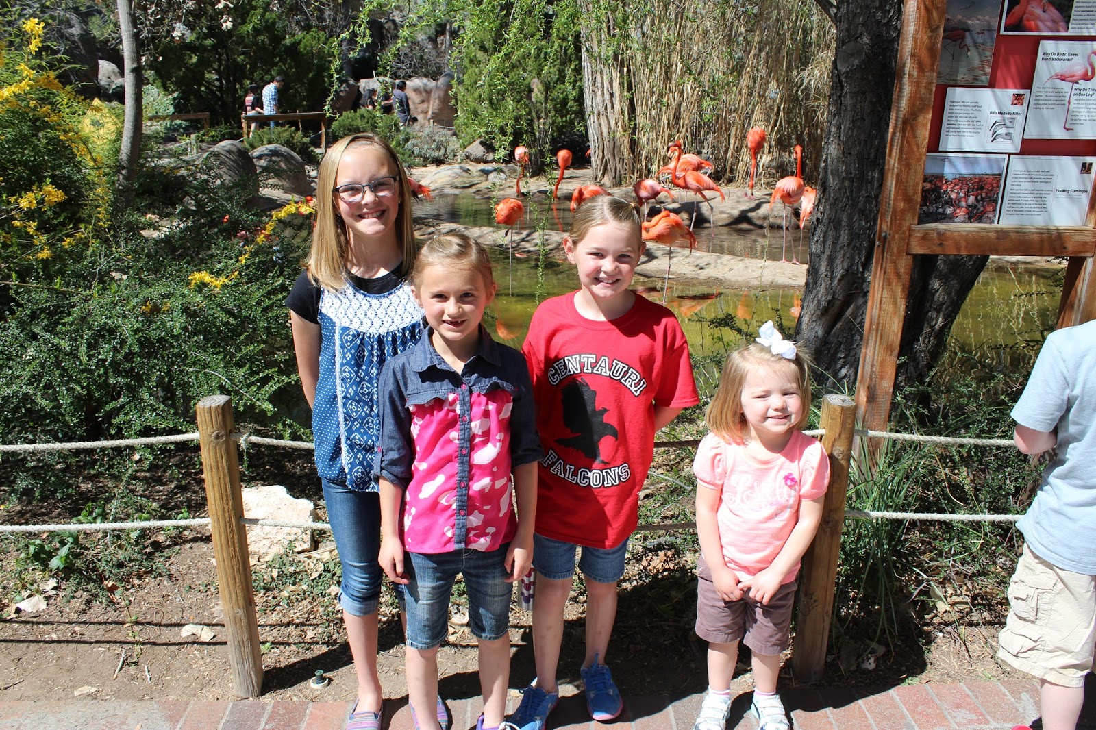 Live In The Moment Albuquerque Zoo