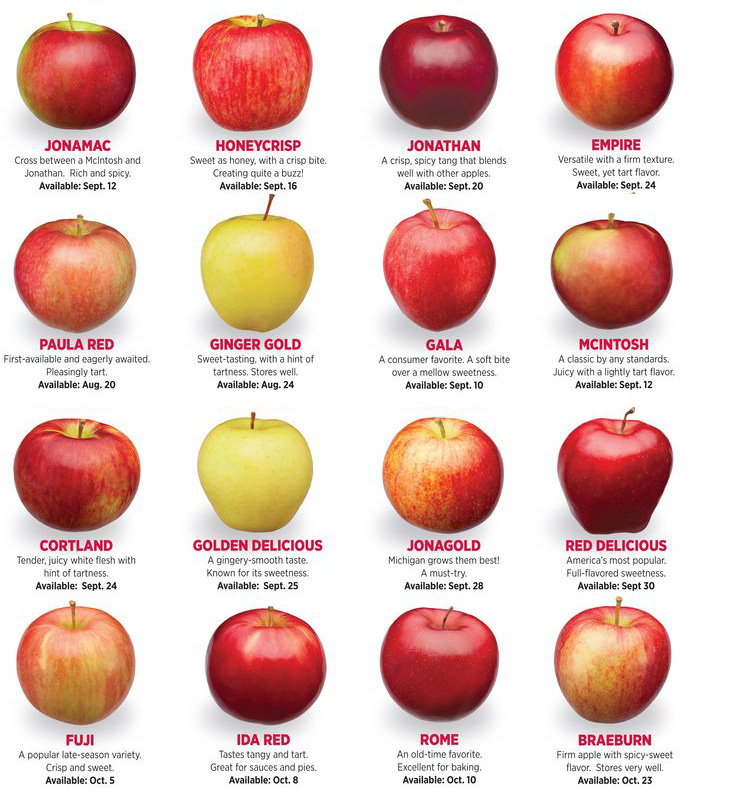 Apple fruit - Awe-Inspiring