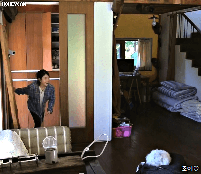 효리네민박 3화 아이유(섹시가수 이지은).gif | 인스티즈