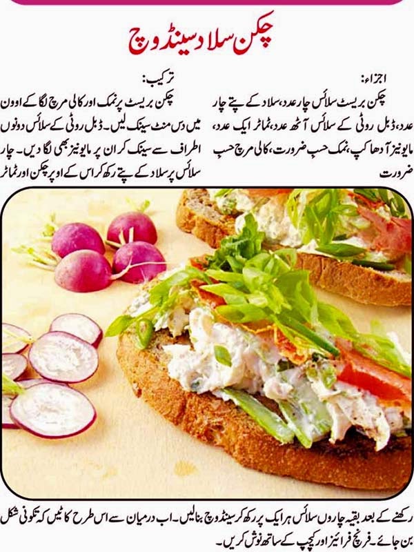 Urdu Recepies 4U Food Recipe Of Cheese Rolls In Urdu