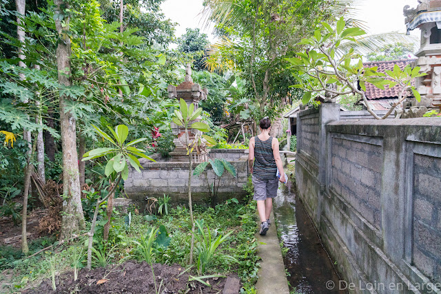 Campuhan - Ubud - Bali