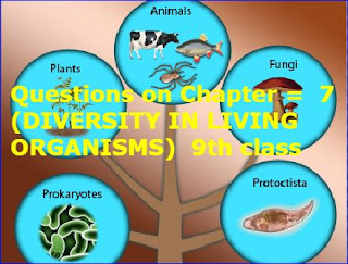Practice Questions on NCERT  Chapter =  7 (DIVERSITY IN LIVING ORGANISMS)