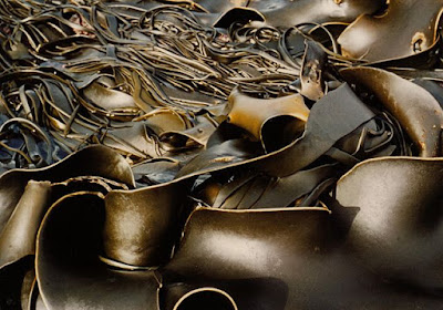 Brown Algae (Image by B.navez) Brown Algae (Image by B.navez)