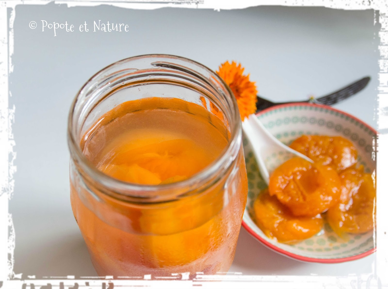 Popote et Nature Une petite conserve d'abricots au sirop vanillé