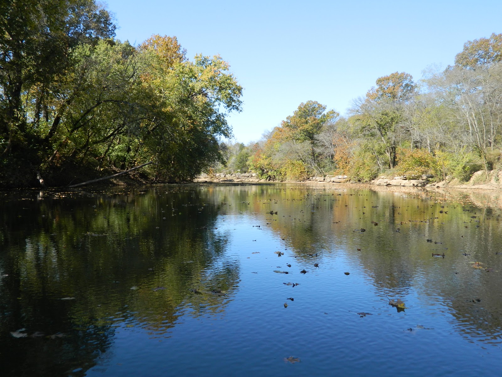 Paddle Tennessee Duck River Henry Horton State Park to Milltown Road