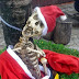 Esqueleto humano vestido de Papai Noel é denunciado em Itu