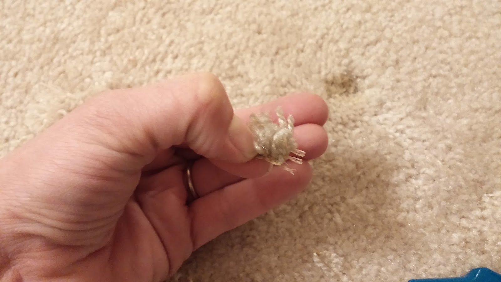 Fix Lovely How to fix burn marks in your carpet