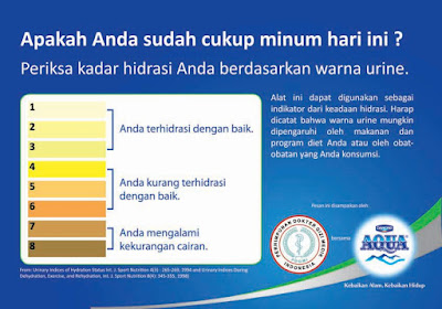 Peringatan Hari Ginjal Sedunia 2019 Bersama Danone Aqua, Sadari Hidrasi Sehat Untuk Ginjal Sehat