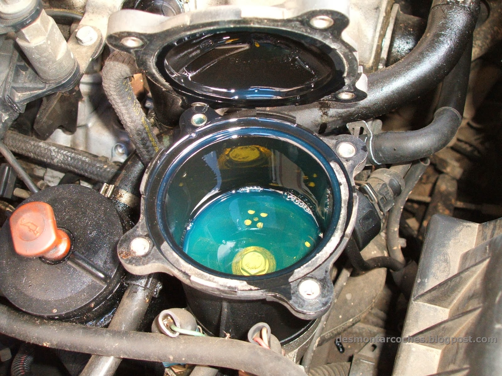 Desmontar Coches Cambiar filtro de gasoil Desmontar Coches Cambiar filtro de gasoil