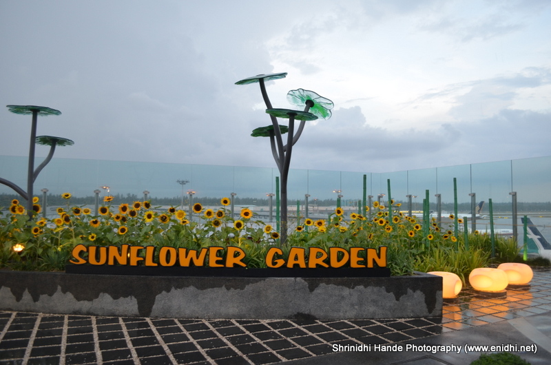 Gardens at Changi Airport, Singapore eNidhi India Travel Blog